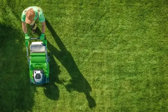 Can you mow wet grass Orem, UT