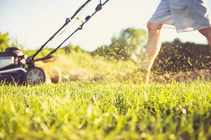 Can you mow wet grass in Orem, UT