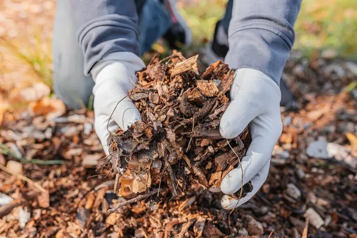 Dependable Mulching in Orem, UT