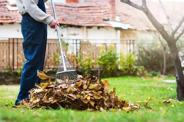 Detailed Yard Cleanup in Orem, UT