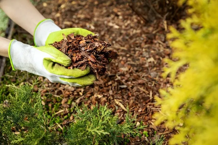 Excellent Mulching in Orem, UT