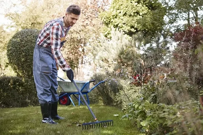 Exceptional Yard Cleanup in Orem, UT