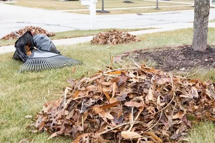 High-quality Yard Cleanup in Orem, UT