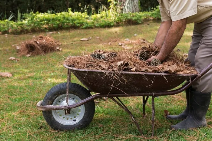 How To Clean A Backyard in Orem, UT