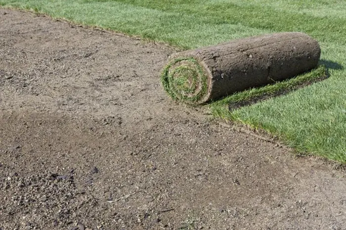 How long after installing sod can you walk on it Orem, UT