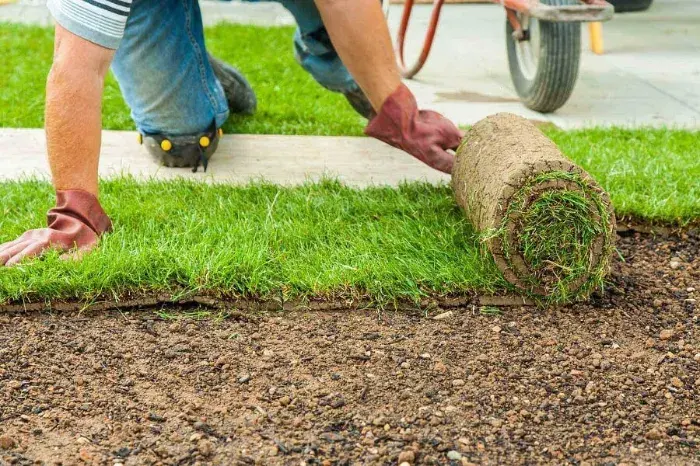 How long after installing sod can you walk on it in Orem, UT