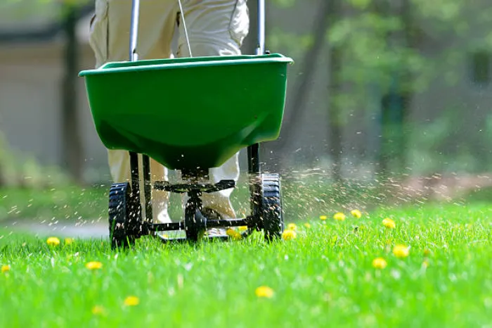 How often should you fertilize your lawn in Orem, UT