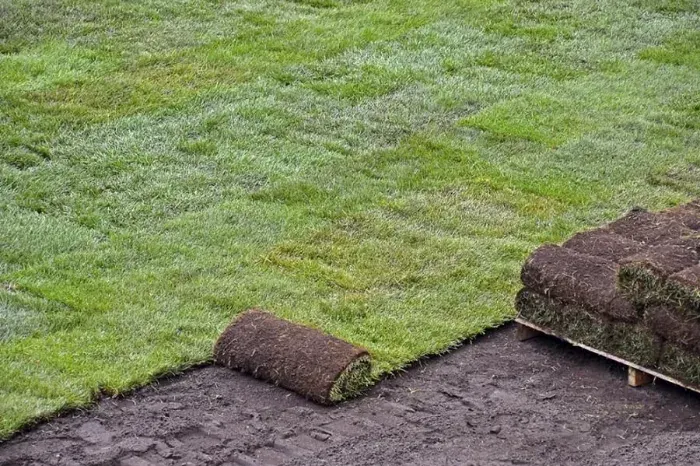 How to lay sod over existing lawn Orem, UT