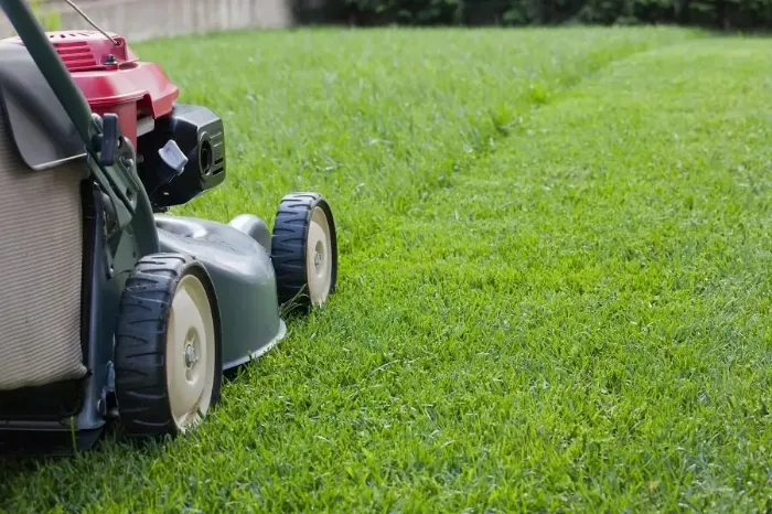 Reliable Lawn Mowing in Orem, UT