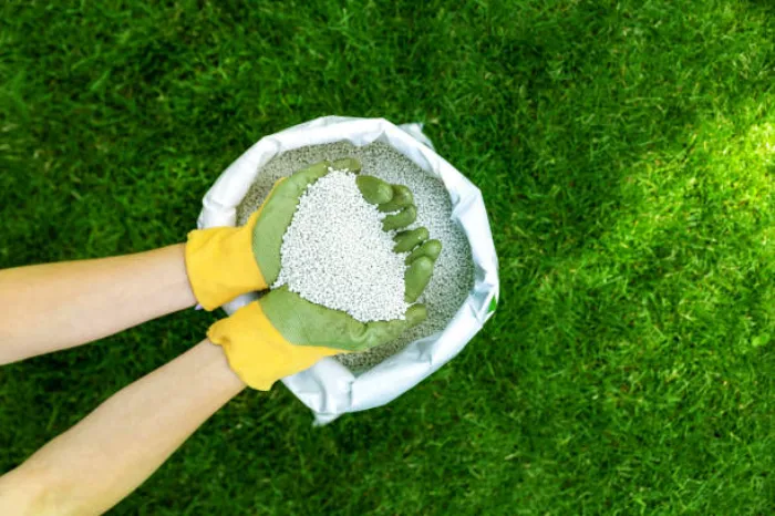 When is the best time to fertilize your lawn Orem, UT